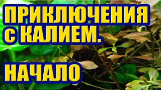 Приключения с Калием в Аквариуме - Начало. Удобрения и Аквариумные Растения