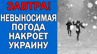 ПОГОДА НА 28 ФЕВРАЛЯ : ПОГОДА НА ЗАВТРА