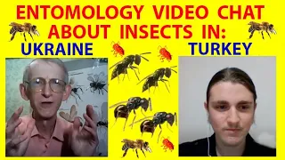 Insects Parasitoids & Hosts in Ukraine and Turkey: Chalcidoidea, Cynipoidea, Hymenoptera, Coleoptera