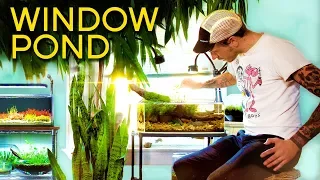 Make a Pond in Your Window!! — Pond Style Tank Tour ft. Aquawerk