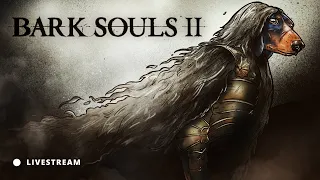 🔴 W Zamarzniętym Lelum Polelum | DARK SOULS II Livestream #10