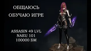 ASSASIN 49 NAEU 101 ЭЛИТКИ ПВП КАЧ