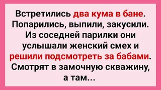 В Бане Два Кума Подсматривают за Бабами! Сборник Смешных Свежих Жизненных Анекдотов для Настроения!