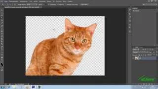 Как сделать прозрачный фон в фотошопе