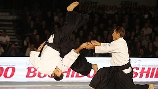 L'Aikido au Festival des Arts Martiaux Nord-Europe 2015