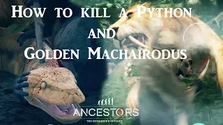 Ancestors: The Humankind Odyssey - How to kill a Python and Golden Machairodus