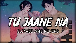 Tu Jaane Na  [Slowed + Reverb] - Atif Aslam| Lyrics Studio