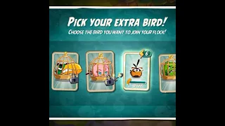 Angry Birds 2 | YAAHOO!   Extra Bird Key Found | Gamera Casual Gameplay #Shorts