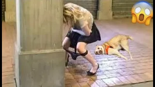 Try Not To Laugh 😂 Cutest People Doing Funny Things 😺😍 Part 12