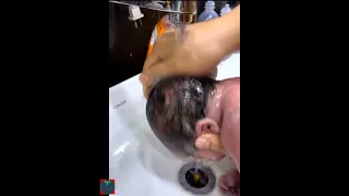 Comment faire avec le nouveau né lors de son premier bain