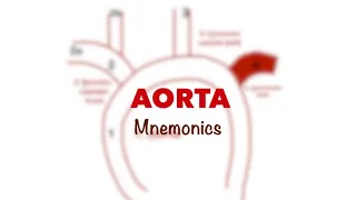 Anatomy Mnemonics: Aorta’s branches #shorts