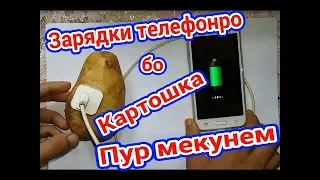 Пур кардани зарядки телефон бо Картошка