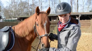 Junge Pferde anreiten: Das erste Mal aufsteigen und reiten!