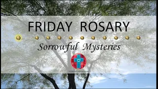 Friday Rosary • Sorrowful Mysteries of the Rosary 💜 Sun Filtering Through a Desert Fern Tree