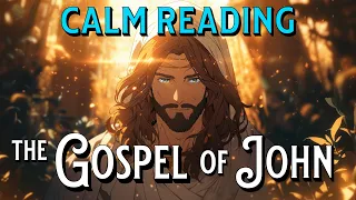 The Gospel of John Full Audiobook Bible Reading Calm Dark Screen Relaxing Sleep Bedtime Story