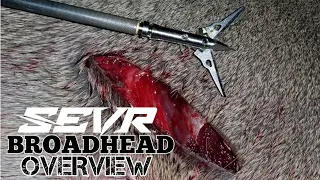 SEVR Broadheads!? | Whitetail Fit