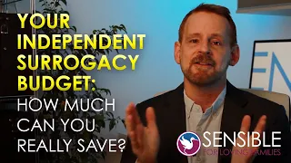 Your Independent Surrogacy Budget 2020: How Much Can you Save?