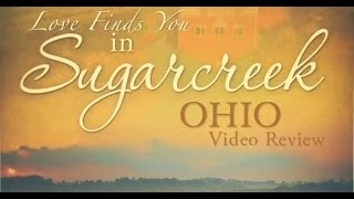 LOVE FINDS YOU IN SUGARCREEK OHIO Review