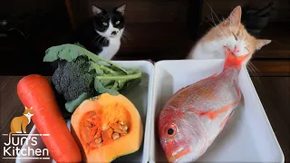 Homemade Cat Food (Fish Jelly Terrine)