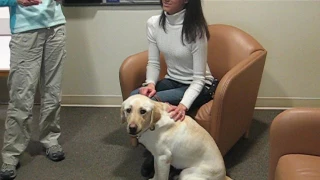 The beautiful moment when I first met my guide dog Antonia at Guide Dogs for the Blind 2009