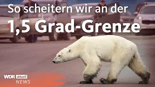 IPCC Bericht 2023: Weltklimarat fordert drastischere Maßnahmen | WDR Aktuelle Stunde