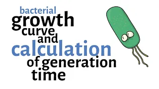 Bacterial Growth Curve & Generation time Calculation