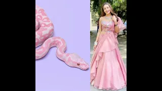 all nagin acterss vs snake🐍