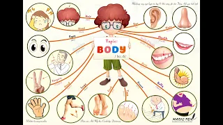 [MỚI NHẤT - ENG] Hướng dẫn phát âm chủ đề CÁC BỘ PHẬN CỦA CƠ THỂ - Topic BODY | Mindmap song ngữ