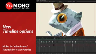 Moho 14 Tutorials: New Timeline options