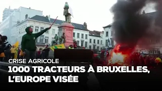 Crise agricole : 1000 tracteurs à Bruxelles, l'Europe visée