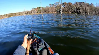 Kayak Fishing a Huge Lake (Again) // PDL 106 vs Heavy Wind