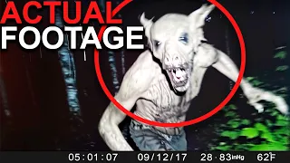 Trail Cam Footage Unearths Jaw-Dropping Scene: Steel Yourself