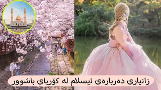 زانیاری دەربارەی ئیسلام لە کۆریای باشوور!ڕێز لە ئیسلام دەگرن؟