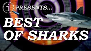QI Compilation: Best Of Sharks