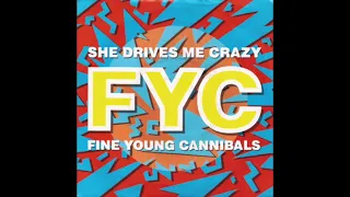 FIne Young Cannibals - She Drives Me Crazy (Torisutan Extended)