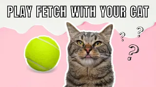 How to Teach Your Cat to Play Fetch! - Easy Method For Beginners