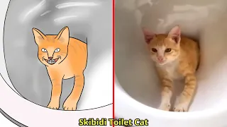 😂Cat Memes: Skibidi Toilet Cat and Funniest Dogs - Drawing Memes Part 9 😅 Trending Funny Animals 😹