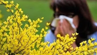 Why Are Some Adults Developing Allergies?