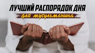 Как МУСУЛЬМАНИН должен провести свой день?