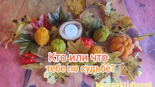 4 королевы. Кто или что тебе по судьбе? Таро расклад