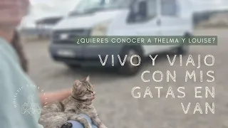 Vivir y viajar con GATOS en una Camper Van ¡Conoce a Thelma y Louise!