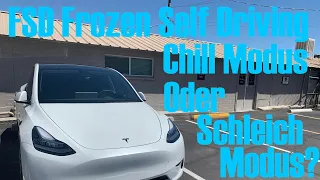 FSD Frozen Self Driving Chill Modus Oder Schleich Modus?