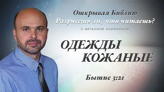 Одежды кожаные. Бытие 3:21.