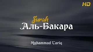 Сура: Аль-Бакара (Корова) Чтец: Muhammad Tariq