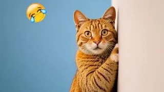 😆😂 Funny Dog And Cat Videos ❤️🐶 Funny Animal Moments #8
