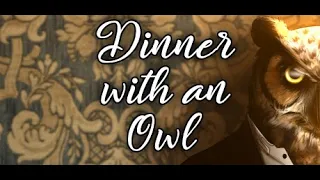 A Bizarre Indie Experience! | Dinner With An Owl | Walkthrough |