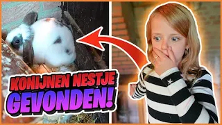 WEER EEN KONiJNEN NESTJE GEVONDEN! 😱 | Bellinga Vlog #2837