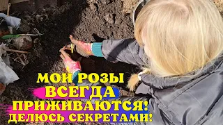 НЕ САЖАЙТЕ РОЗЫ пока НЕ ПОСМОТРИТЕ ЭТО видео! Делюсь СЕКРЕТАМИ ПРАВИЛЬНОЙ посадки