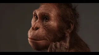 Australopithecus sediba: No such thing as a missing link