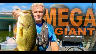 Catching a Once in a Lifetime MEGA GIANT FISH ! ! ! (GUNTERSVILLE LAKE FISHING)